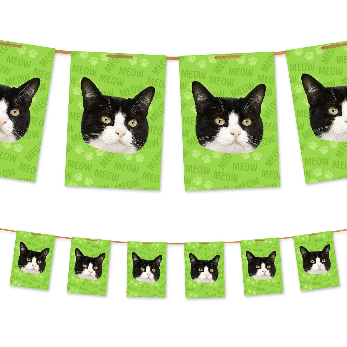 Your Cat on Bunting