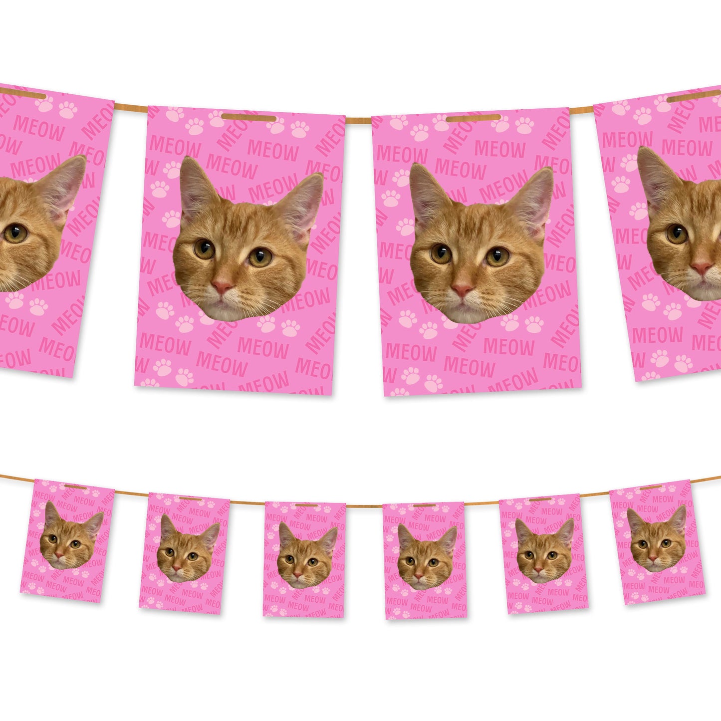 Your Cat on Bunting